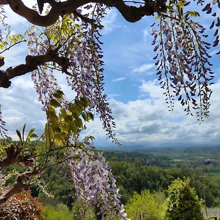 Relax In Langa Σπίτι διακοπών Farigliano